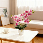 décoration murale orchidées artificielles fleurs douces moderne pot blancintérieur