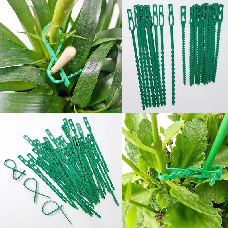 clips support plantes plastique texturé vert pratique 11cm 13cm 17cm 23cm 20pcs 50pcs 100pcs