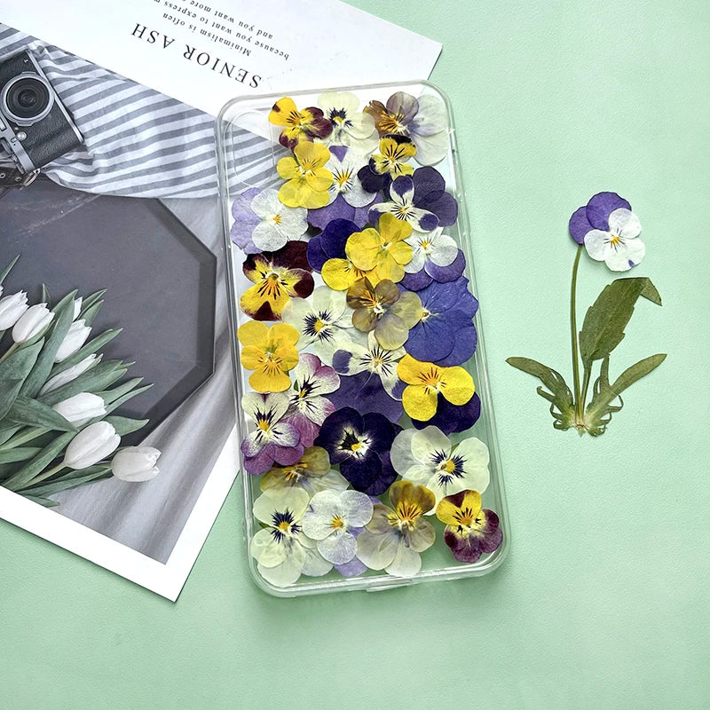 fleurs séchées violettes jaunes décoratives bricolage résine bijoux étui téléphone maquillage pétale simple naturel