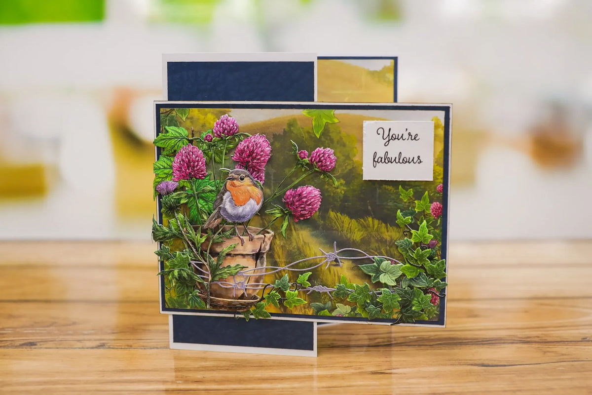 cartes postales 3d illustratives animaux fleurs oiseaux barbelés boîte lettres bouteilles herbe rouge vert