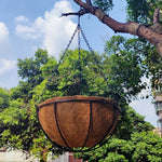 panier suspendu fibre coco chaînes métal marron clair plante verte jardin rustique naturelintérieurextérieur