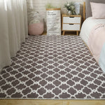 tapis géométrique polyester antidérapant imperméable rose clair gris vert pastel bleu moderne intérieur extérieur