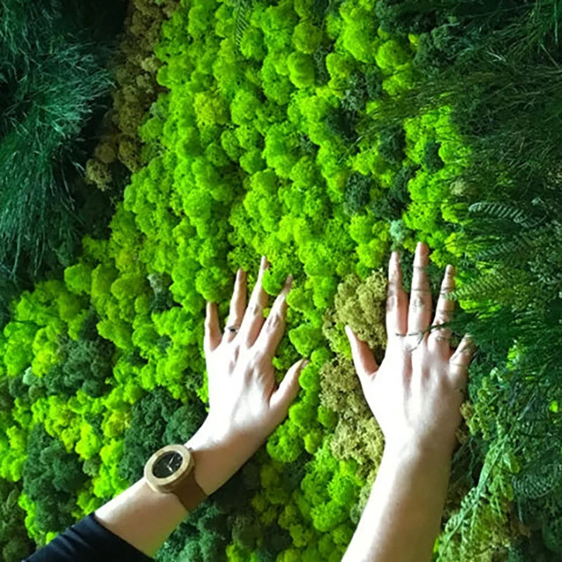 mousse séchée artificielle naturelle couleur verte décoration intérieure jardin mur salon maison