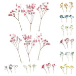 bouquets fleurs séchées naturelles couleurs vives rouge bleu violet orange intérieur décoration