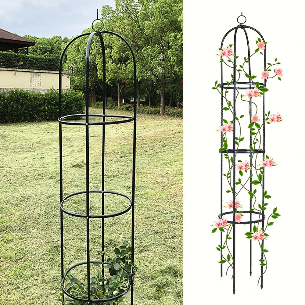 support plantes grimpantes noir moderne grille circulaire hauteur réglable occasion mariage anniversaire événement festive