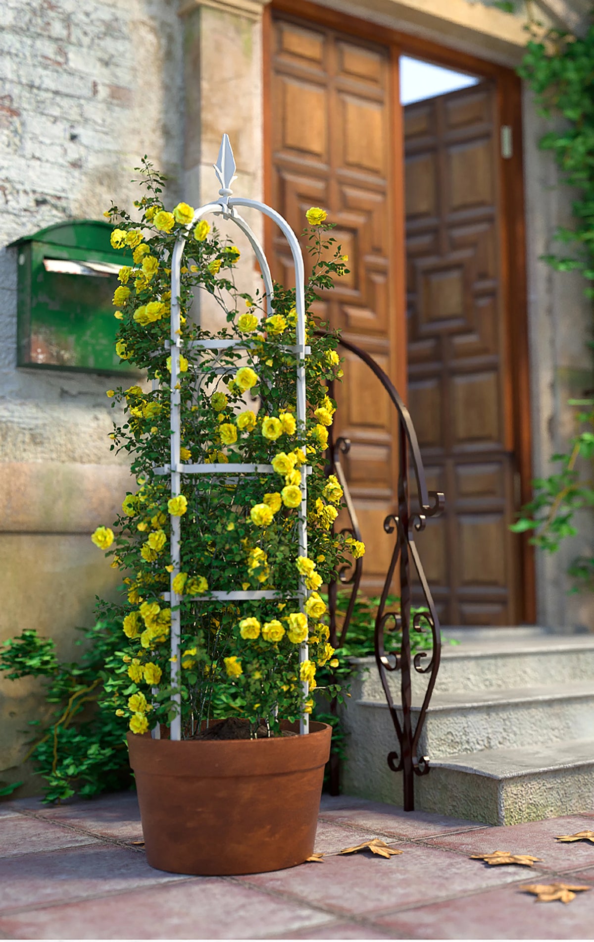 support plante grimpante grille métal anti rust noir blanc moderne facile jardin fleurs tomates