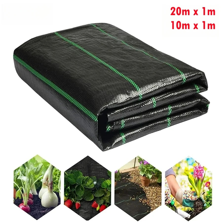 tissu contrôle mauvaises herbes noir maille fine ligne verte 100cm large 10m 20m
