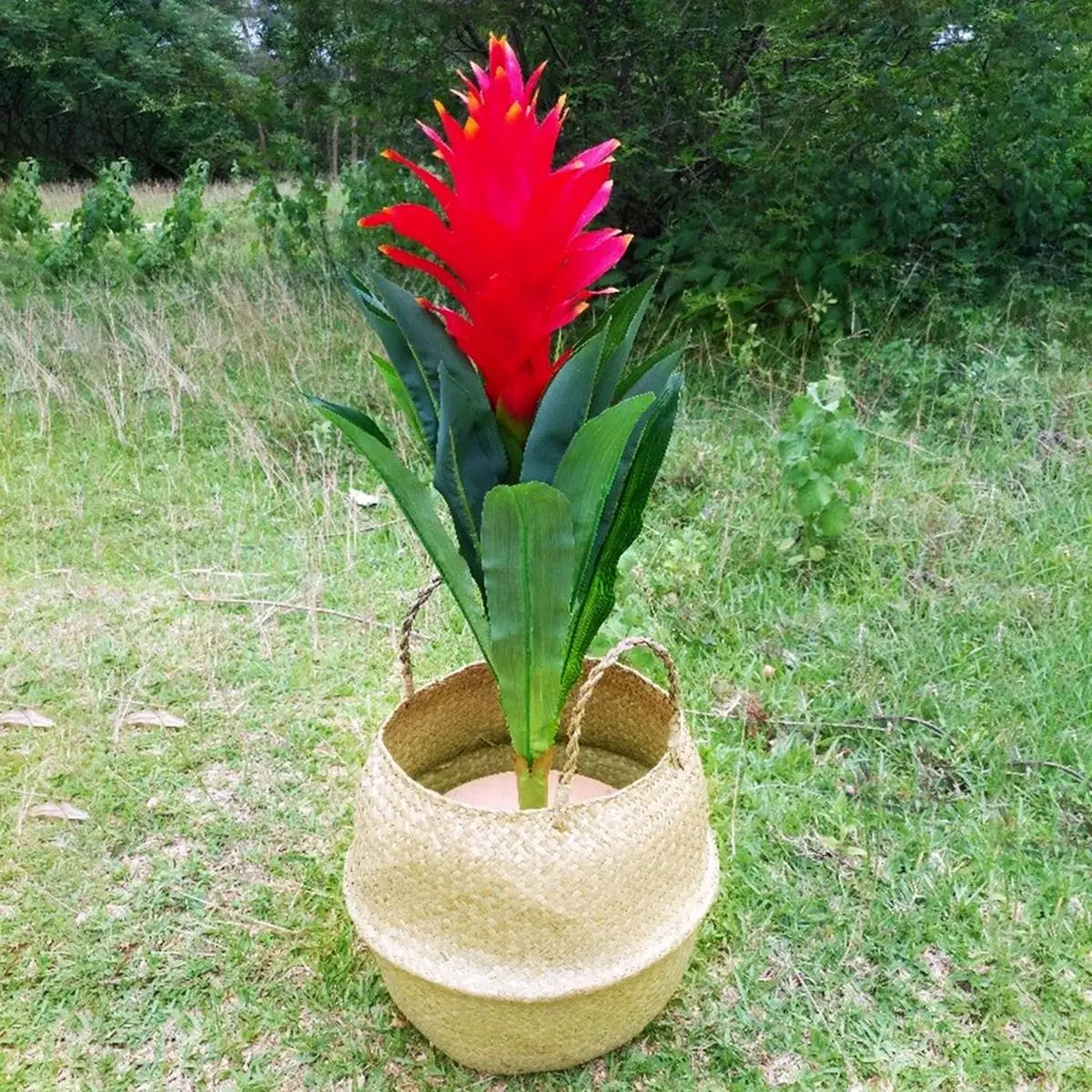Panier suspendu avec plantes comme cache-pot décoratif