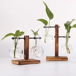 vases suspension transparents moderne plantes vertes bois brun minimaliste