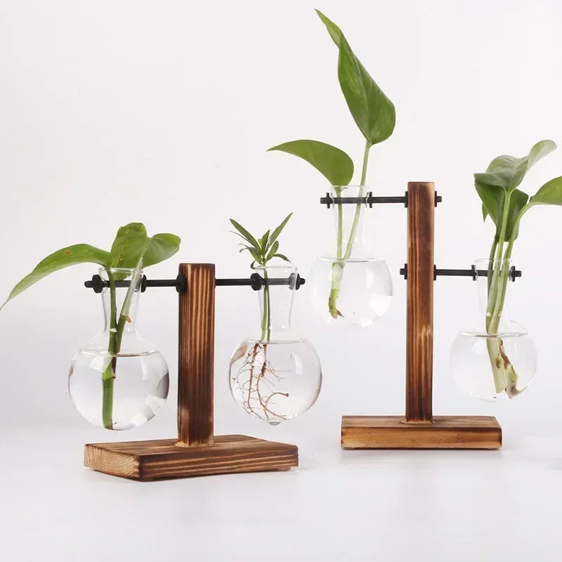 vases suspension transparents moderne plantes vertes bois brun minimaliste
