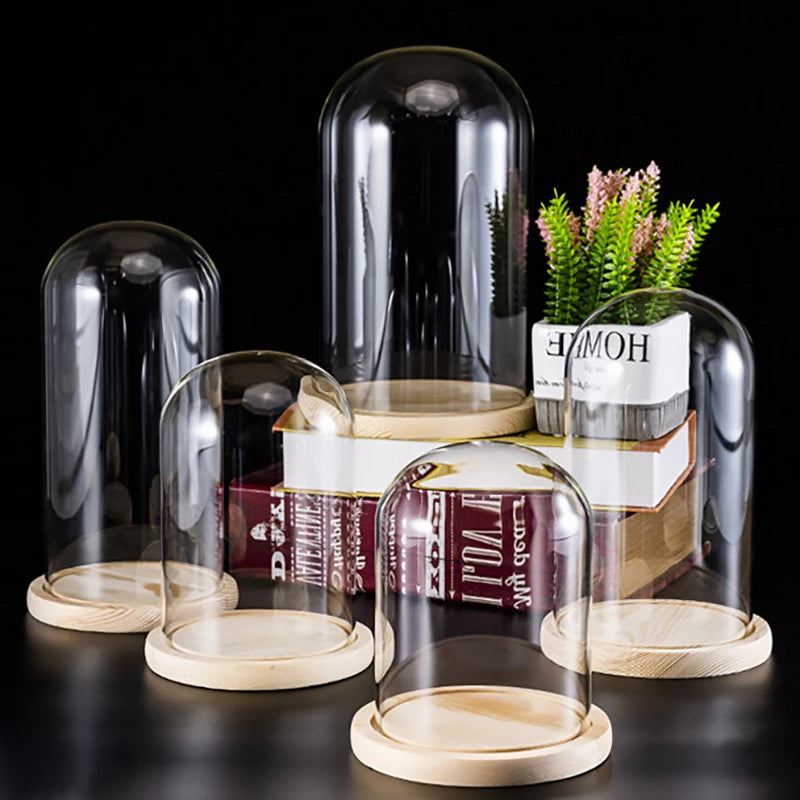 cloche verre transparente base bois moderne minimaliste deco intérieur simple exposant objets decoratifs plantes