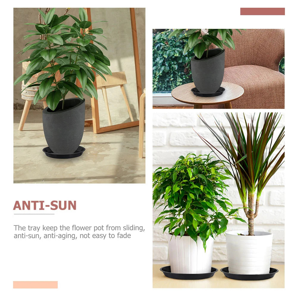 Plateau rond sous un pot de plante d'intérieur avec succulentes