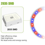 lampe led croissance plante circulaire diodes blanc moderne anneau flexible réglable temps