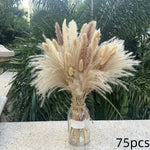 bouquet fleurs séchées beige vert boho rustique décoration intérieure anniversaire mariage pendaison crémaillère