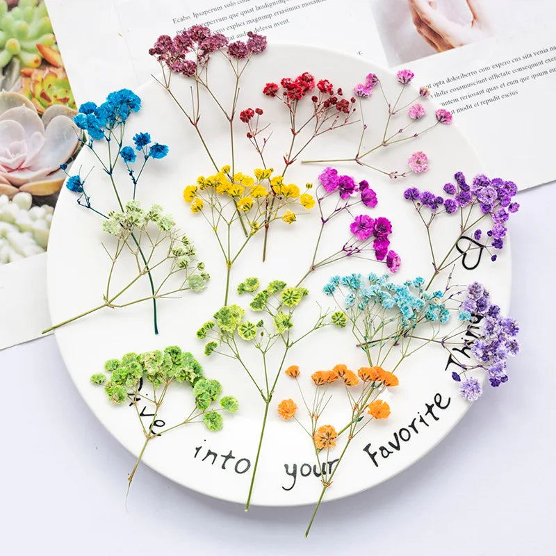 bouquet fleurs séchées naturelles variées bleu vert violet rouge jaunes ornement intérieur décoration artisanale