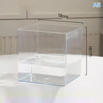 mini jardins verre transparent plante pierre sucre coloré moderne minimaliste