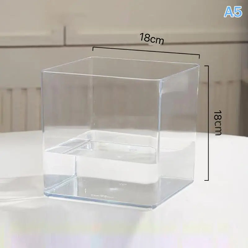 mini jardins verre transparent plante pierre sucre coloré moderne minimaliste
