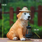 statue solaire chien lanterne chapeau paille décoration extérieure nuit réelle texture rustique charmante led