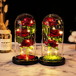 roses stabilisées bouquet guirlande lumineuse cloche verre décoration intérieure romantique anniversaire valentin engagement