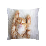housse coussin polyester chat imprimé gris orange moderne salon chambre lit 45cm 45cm