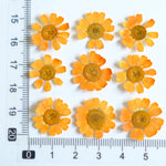 fleurs séchées multicolores bijoux résine décoration ongles maison intérieure artisanal anniversaire naturelles