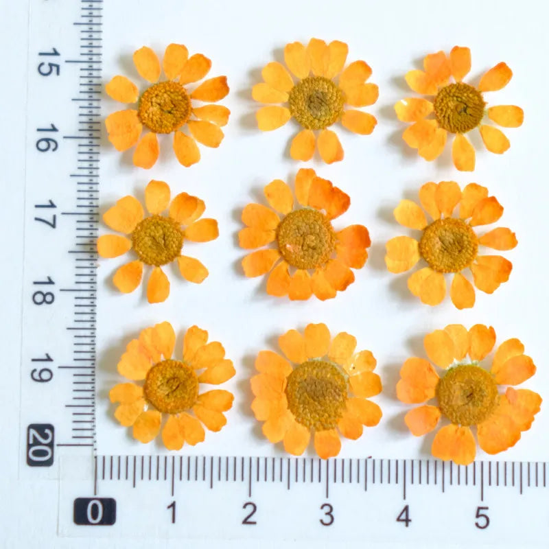 fleurs séchées multicolores bijoux résine décoration ongles maison intérieure artisanal anniversaire naturelles