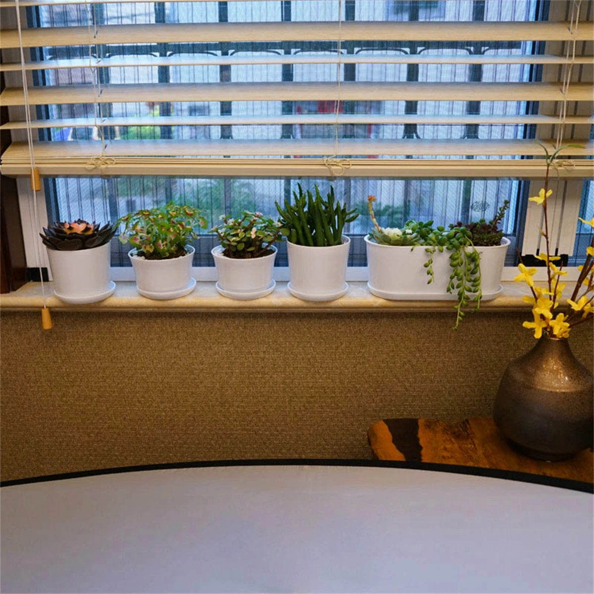 pots fleurs modernes blancs soucoupe plante verte intérieur extérieur hexagon rond polygonaux