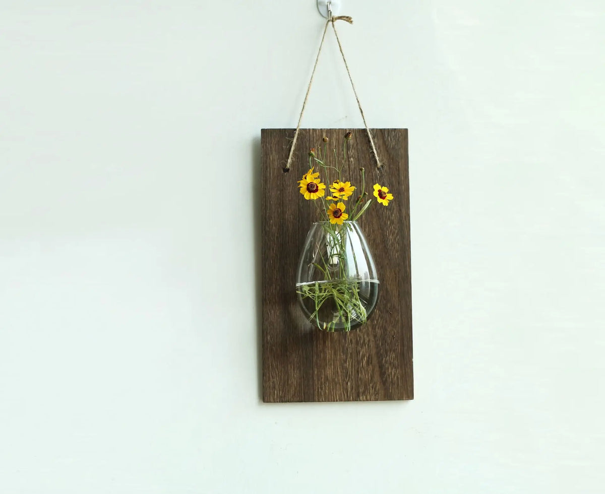 vases murals transparents bois marron plantes vertes deco bohème minimaliste suspension chambre salon