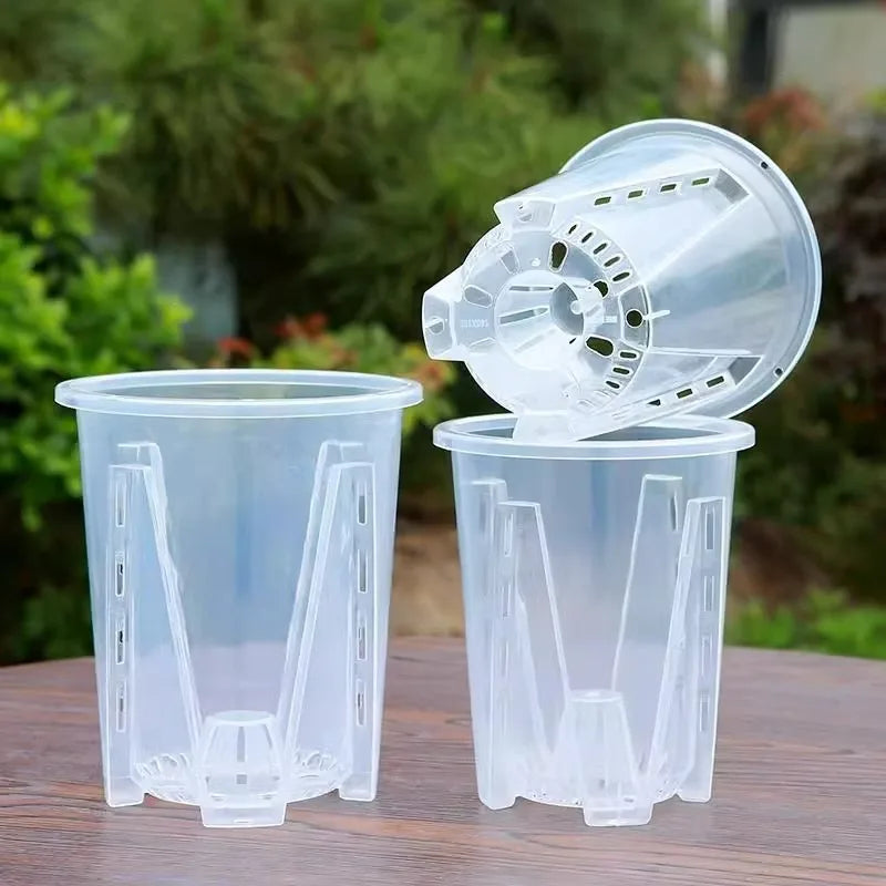 cache pot transparent moderne perforé adhésif fleur plante verte pot culture orchidée papillon racine