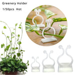 support mural plantes grimpantes clips autoadhésifs vert clair moderne minimalisteintérieur extérieur facile montage détachement