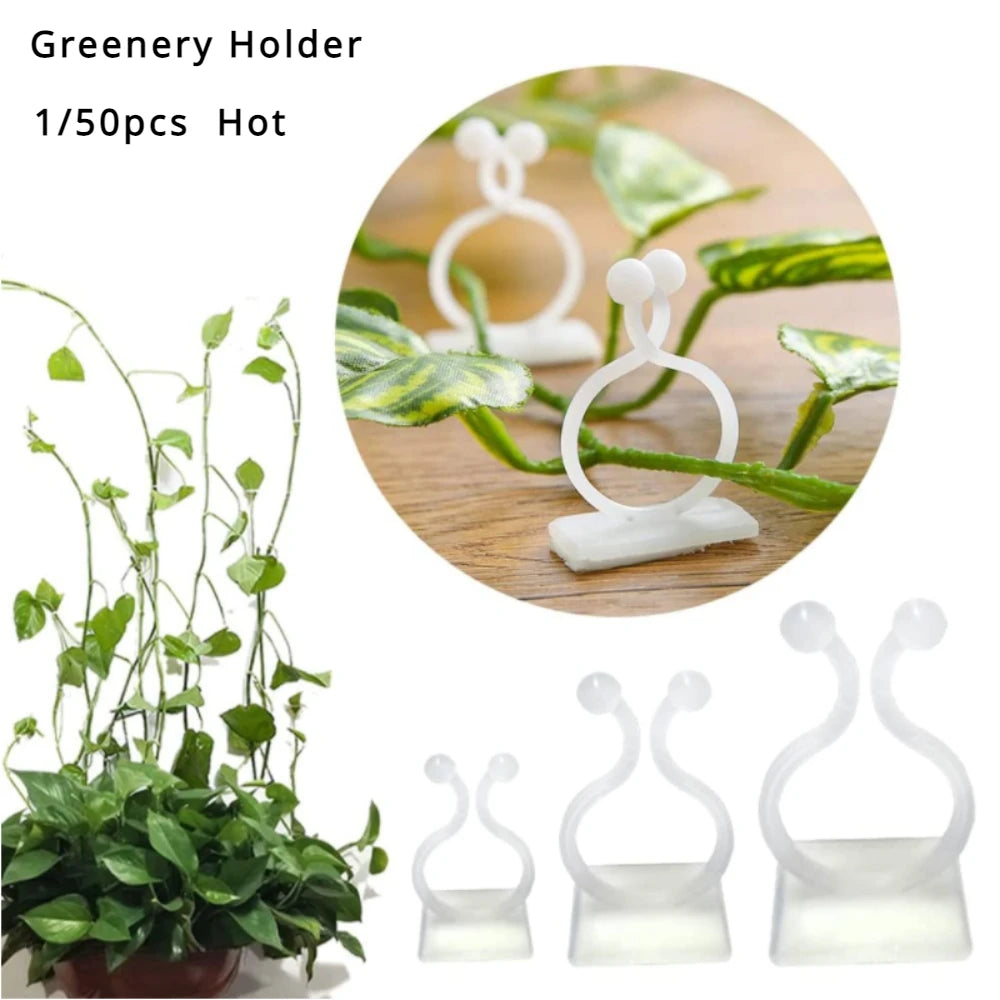 support mural plantes grimpantes clips autoadhésifs vert clair moderne minimalisteintérieur extérieur facile montage détachement