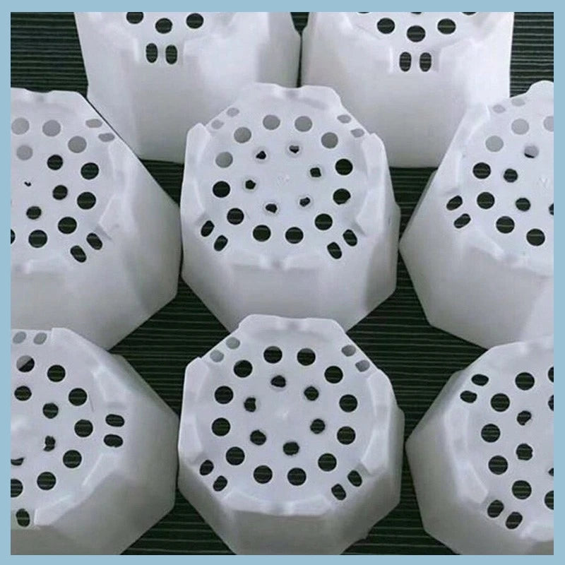 Pots semis hexagonaux blancs translucides bacs pépinière moderne plantes intérieur extérieur pièces