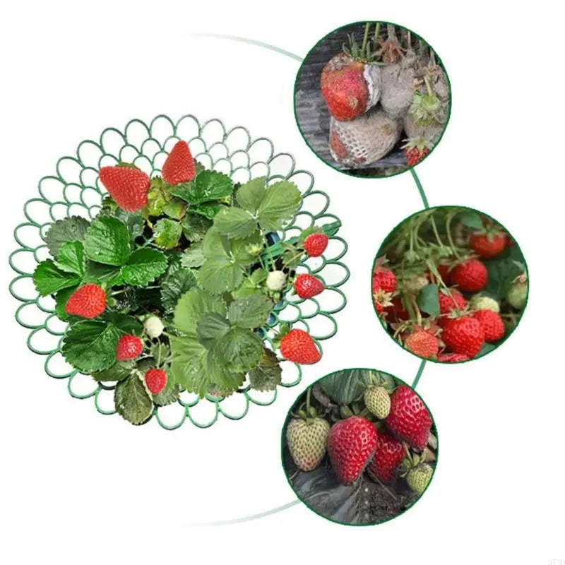 support fraisiers vert moderne grille géométrique opacité hauteur 4cm 26cm large