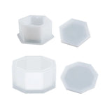cache plante hexagonal transparent violet vert bleu blanc moderne minimaliste silicone bricolage fleur rangement