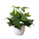 plantes artificielles vertes bonsaï ornement accessoires photo scindapsus pot rotin extérieur moderne