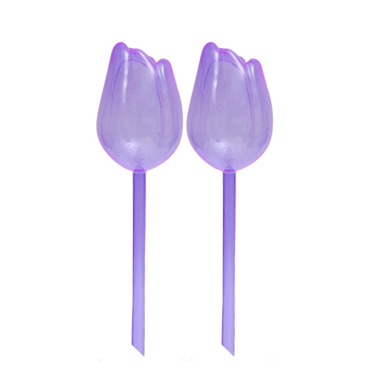 pique plantes tulipe plastique rose violet blanc translucide moderne adhésif kit arrosage