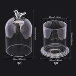 boule neige transparente moderne ours peluche fleurs séchées neige artificielle