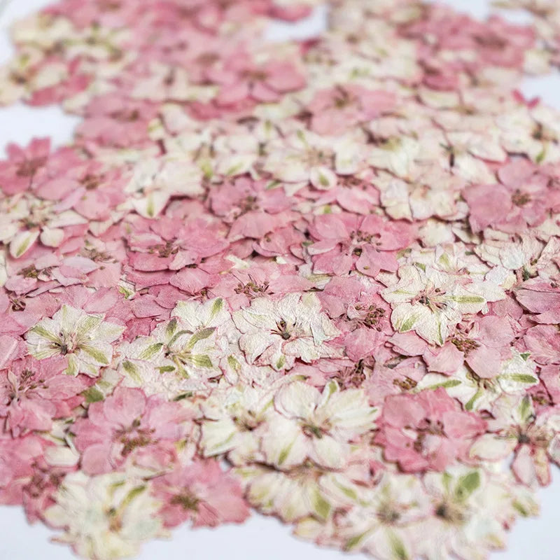 fleurs séchées décoratives multicolores décoration maison événements festifs 24 pièces