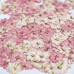 fleurs séchées décoratives multicolores décoration maison événements festifs 24 pièces