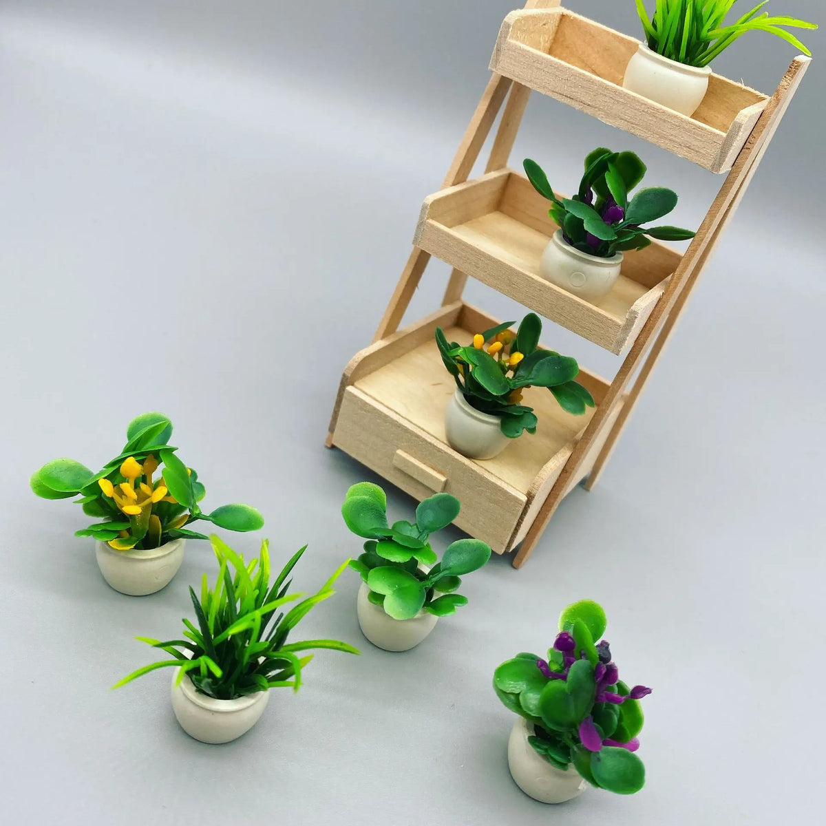 étagère plante moderne mini pots bois blanc succulentes ornement verdureintérieur