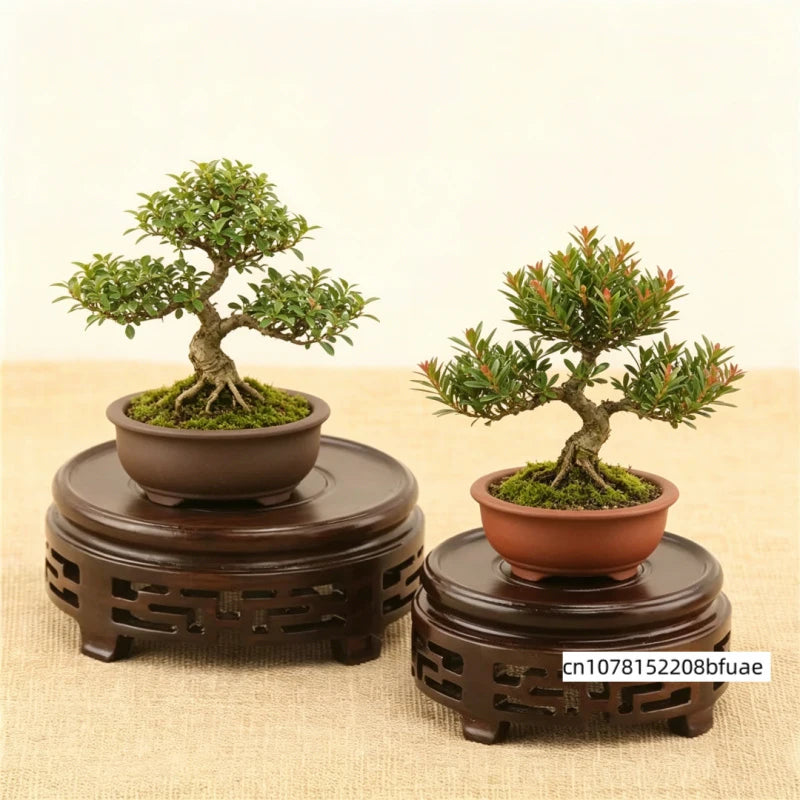 support plante bois sculpté classique motifs découpés décoration intérieure base fleurs pied