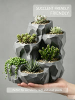 jardin moderne pot géométrique gris succulentes plusieurs compartiments plante verte minimaliste