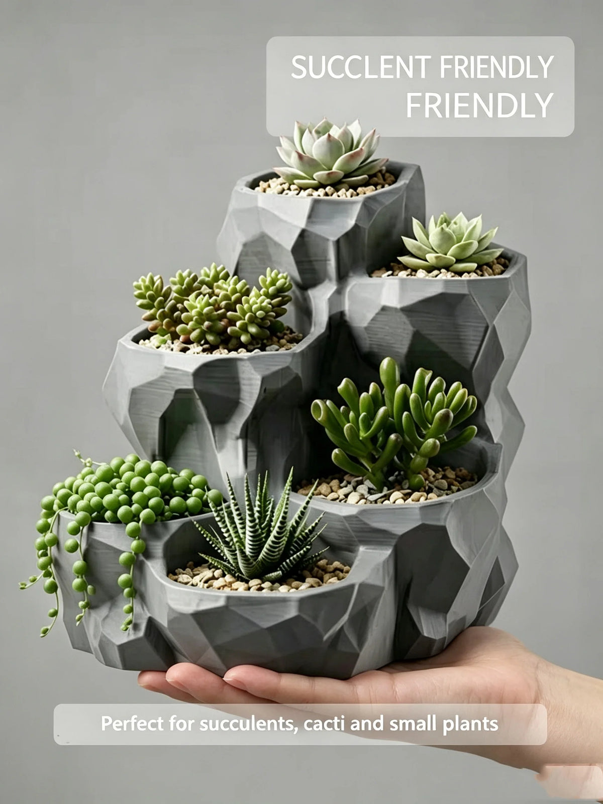 jardin moderne pot géométrique gris succulentes plusieurs compartiments plante verte minimaliste