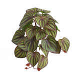 plantes artificielles bonsaï moderne feuilles variées décoration intérieure extérieure ornement table verte noire rouge