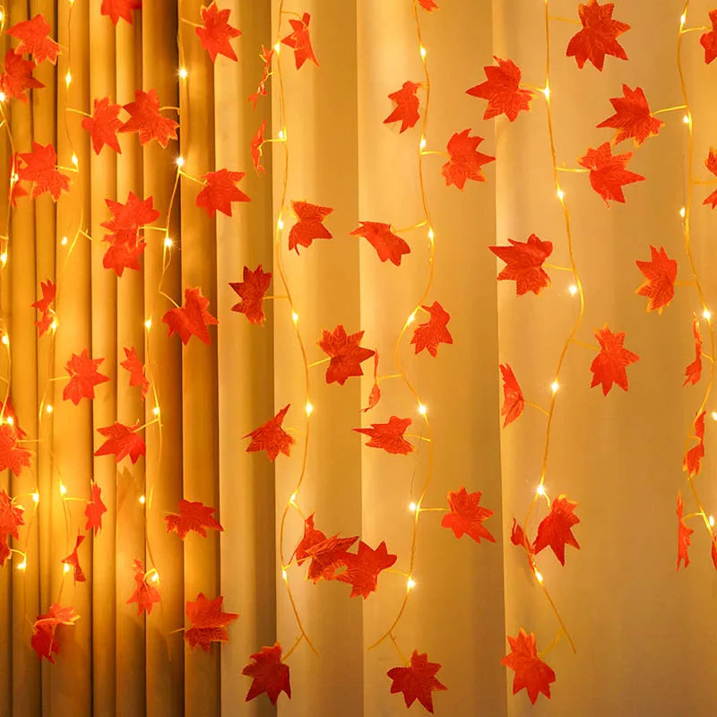 Détail des feuilles d'érable lumineuses