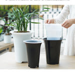 pots fleurs transparents noirs blancs structure alvéolaire drainage ornemental plantes vertes orchidées dendrobium cymbidium