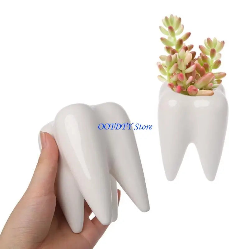 pot plante forme dent blanc lisse brillant décoratif succulente originale verte cactus