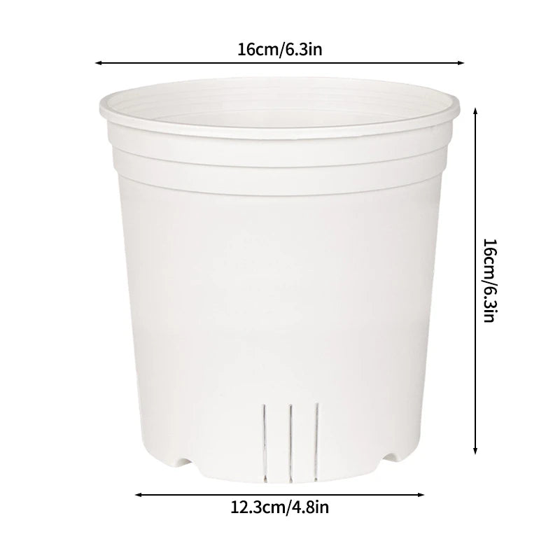 pots semis transparents blancs modernes grille drainage plantes