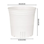 pots semis transparents blancs modernes grille drainage plantes