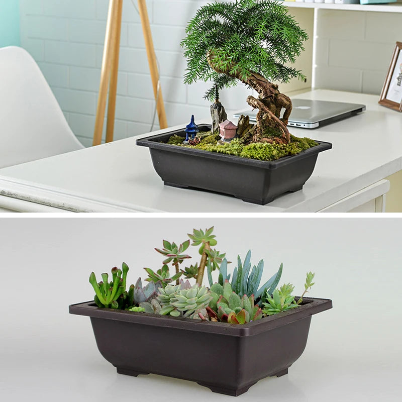 pot fleurs bonsaï miniature décor pagode maison rocher jardin intérieur